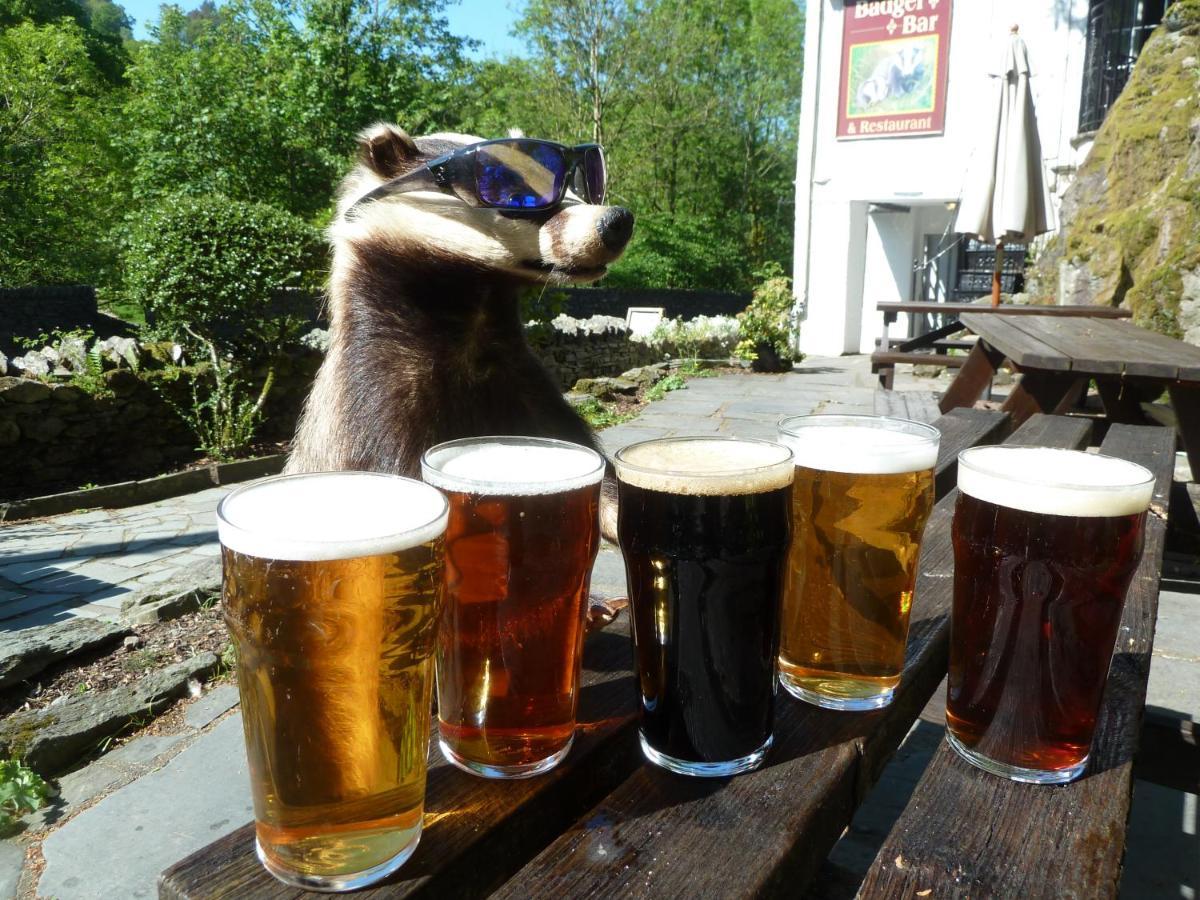 Bed and Breakfast Badger Bar Ambleside Zewnętrze zdjęcie